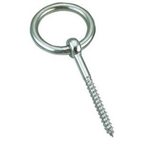 6mm Stainless Steel Lag Bolt Ring